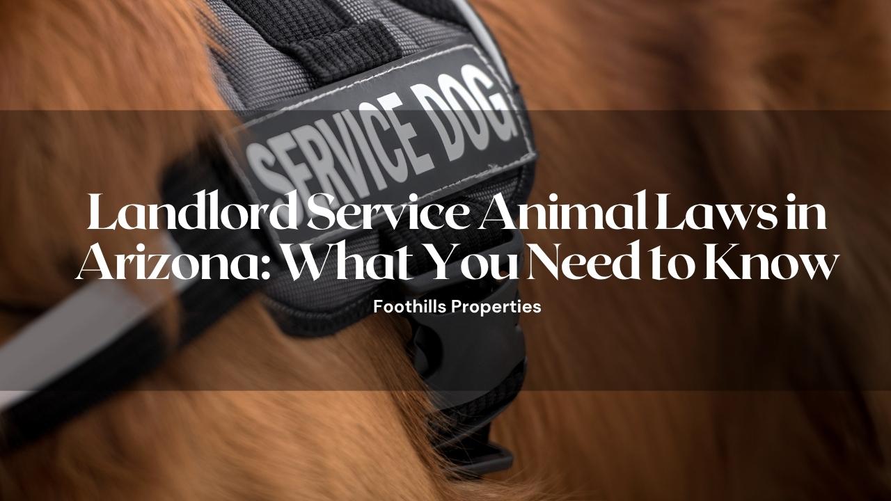 Property Management Blog